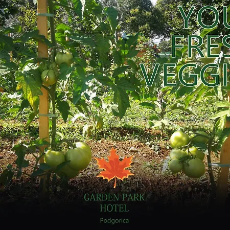 Garden Park فندق